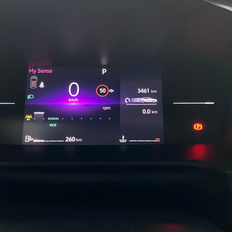 Megane Direksiyon Ve Kilometre Sorunları