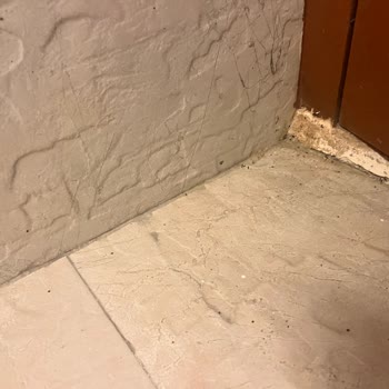 Booking.com Refund Request For Filthy Property With Deceiving Pictures/description