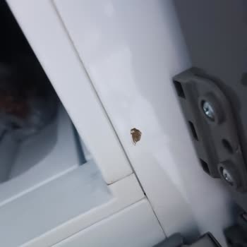 Vestel Buzdolabında Paslanma Ve Ücret Talebi Sorunu