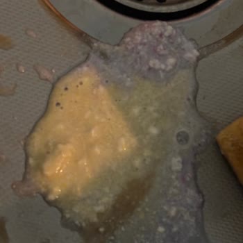 Bozuk Sakız Ve İletişim Sorunları