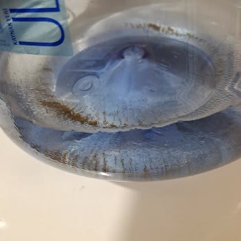 Beklenmedik Sürprizler: Eksik Damacana Ve Tortulu Su