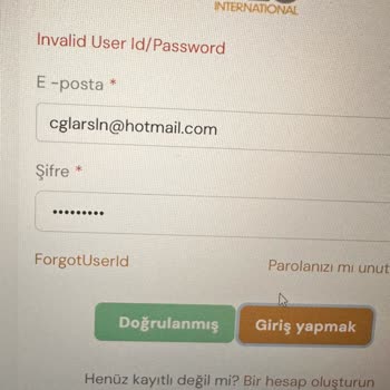 BLS Spain Sitesine Giriş Sorunu Ve Vize Başvurusu Mağduriyeti