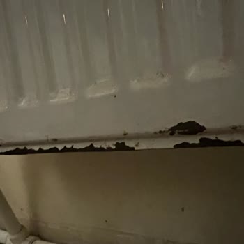 ECA Paslanan Kalorifer Petekleri Ve Yetersiz Hizmet!