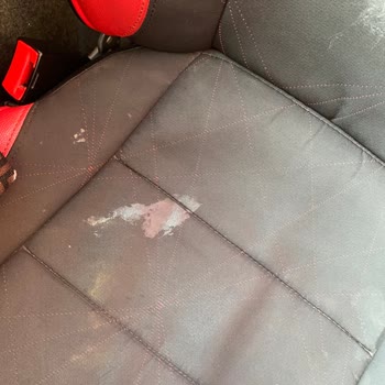 Varan Turizm İle Seyahatte Temizlik Ve Güvenlik Sorunları