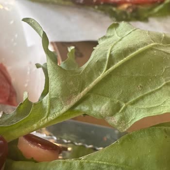 Topraklı Roka Skandalı: Hijyen Sorunu