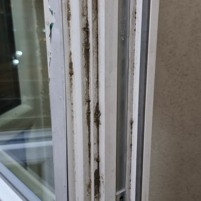 Pimapen Kabusu: Yüksek Fatura, Düşük Kalite