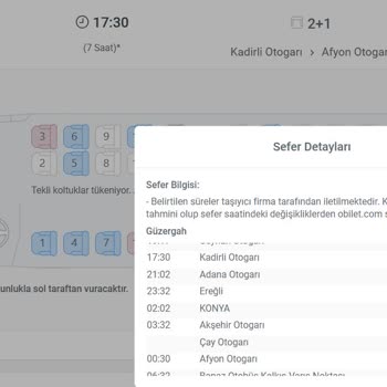 Lüks Adana İle Seyahatte Hayal Kırıklığı: Uzayan Yolculuk Ve Koltuk Karmaşası