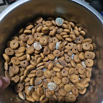 Reflex Küflü Köpek Mamaları Mağduriyeti