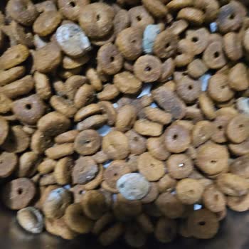 Reflex Küflü Köpek Mamaları Mağduriyeti