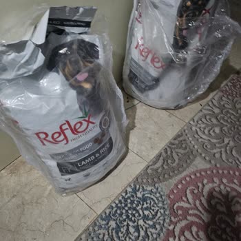 Reflex Küflü Köpek Mamaları Mağduriyeti