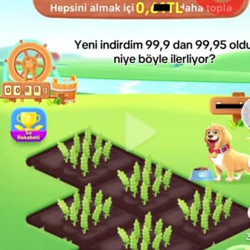 Sürekli Özür, Sıfır Çözüm: Temu'nun Yanıltıcı Etkinliği
