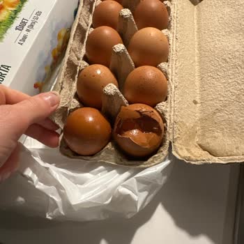 Migros'tan Gelen Kırık Ve Çatlak Yumurta Sorunu