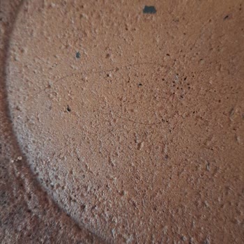 Kek İçinden Çıkan Saç Sağlık Tehdidi