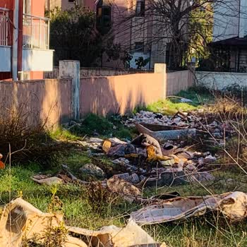 Anadolu Sigorta İle Hasar Tespiti Ve İletişim Sorunları