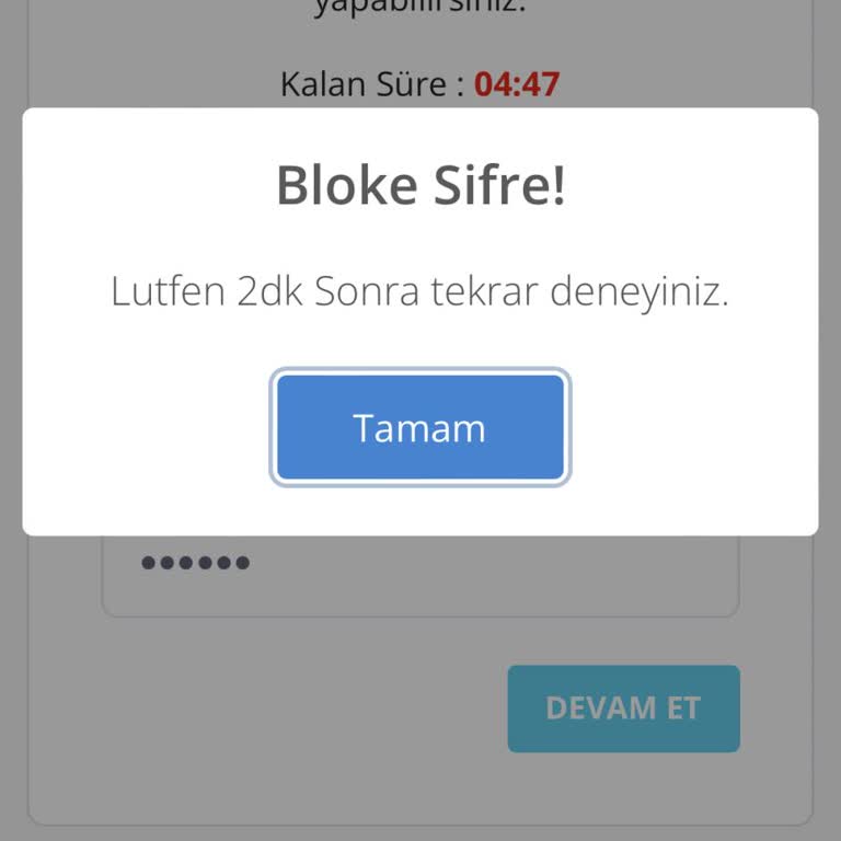 Acil Şifre Blokesi Sorunu Ve Çaresizlik