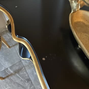 Yüksek Ücretli Mobilyalarda Kalite Sorunu Ve Müşteri Memnuniyetsizliği