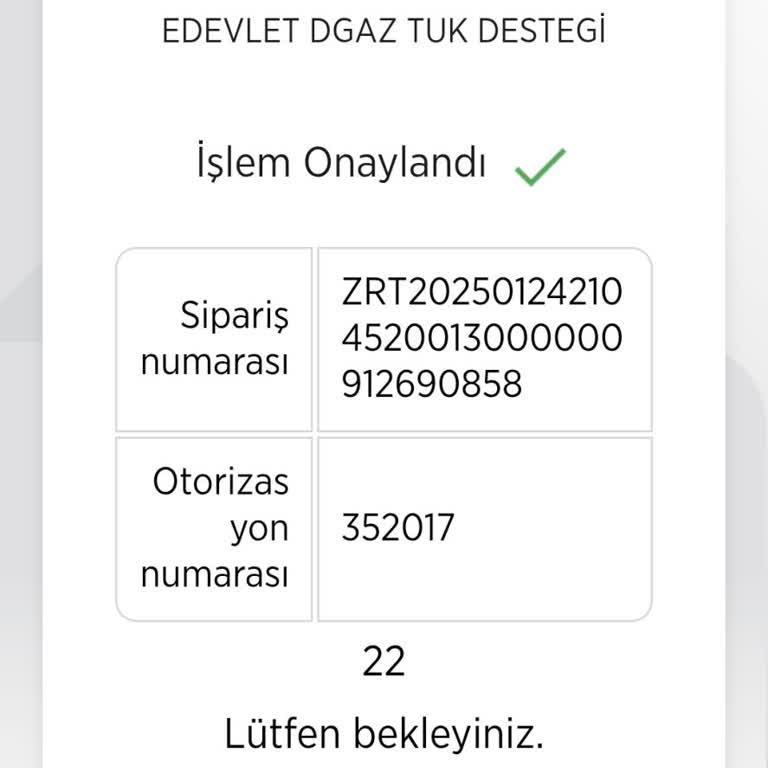 E-Devlet | Turkiye.gov.tr Doğalgaz Faturası Ödeme Sorunu: Çözüm Bekliyorum