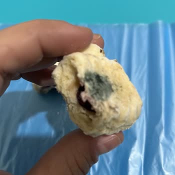 Liva Pastanesi | Livashop.com Küflü Ve Böcekli Kuru Pasta Skandalı