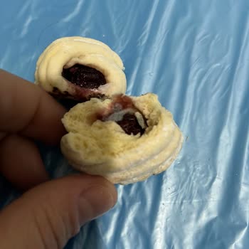Liva Pastanesi | Livashop.com Küflü Ve Böcekli Kuru Pasta Skandalı