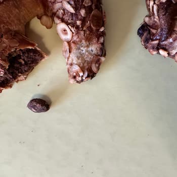 Ekmekteki Zeytin Çekirdeği Dişimi Kırdı