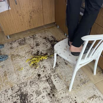 Ankastre Seti Sorunu Ve Yetersiz Servis Hizmeti