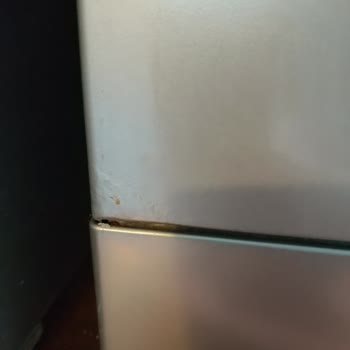 Beko Çamaşır Makinesi Sorunları Ve Değişim Talebi