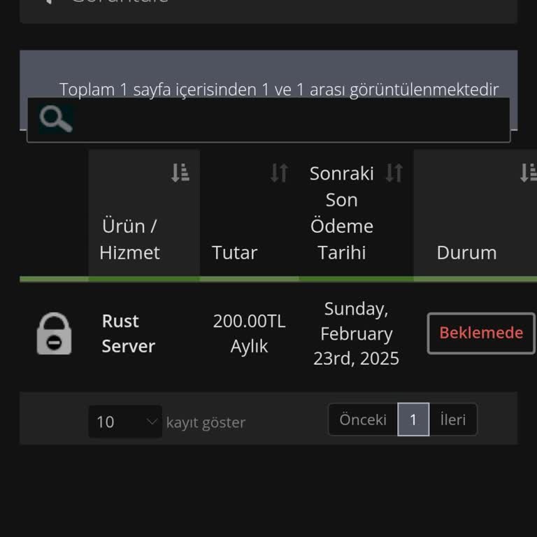 Rust Sunucusu Aktif Edilmiyor Müşteri Hizmeti Yok