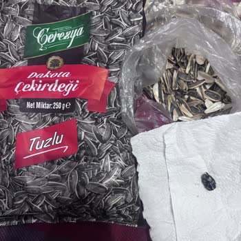 Çekirdek Paketinden Çıkan Şok Edici Sürpriz