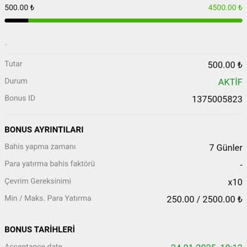 Kazançların Silinmesi Ve Destek Sorunları