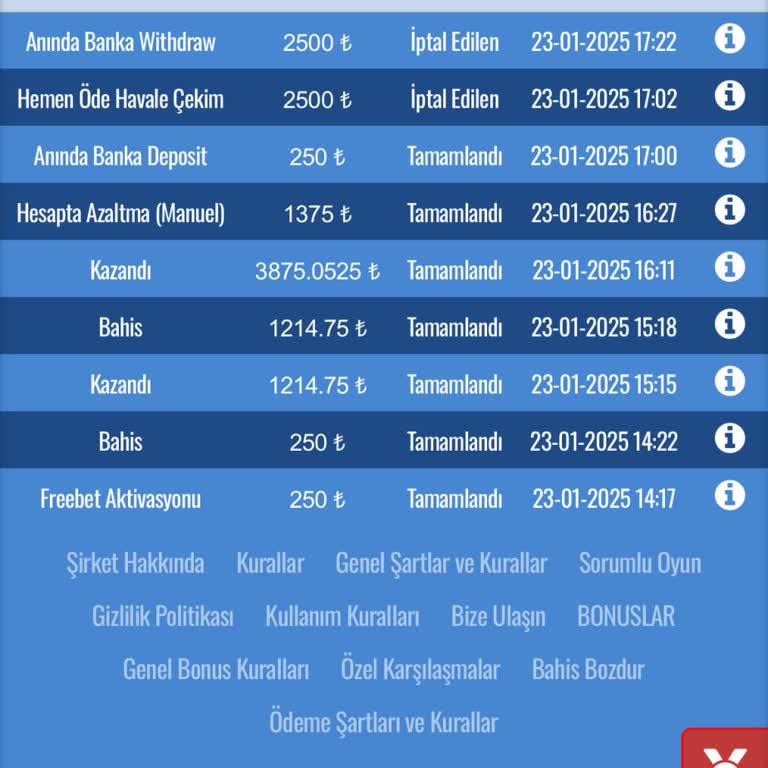 Pulibet'te Bonus Çekim Sorunu Ve Hesap İncelemesi