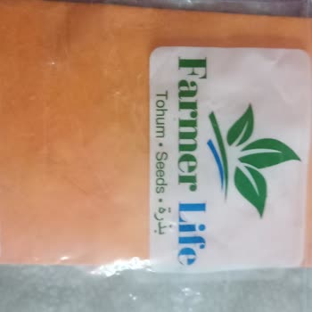 Farmer Life Tohum Kozmoz Tohumlardan Tek Bir Adet Bile Çıkmadı