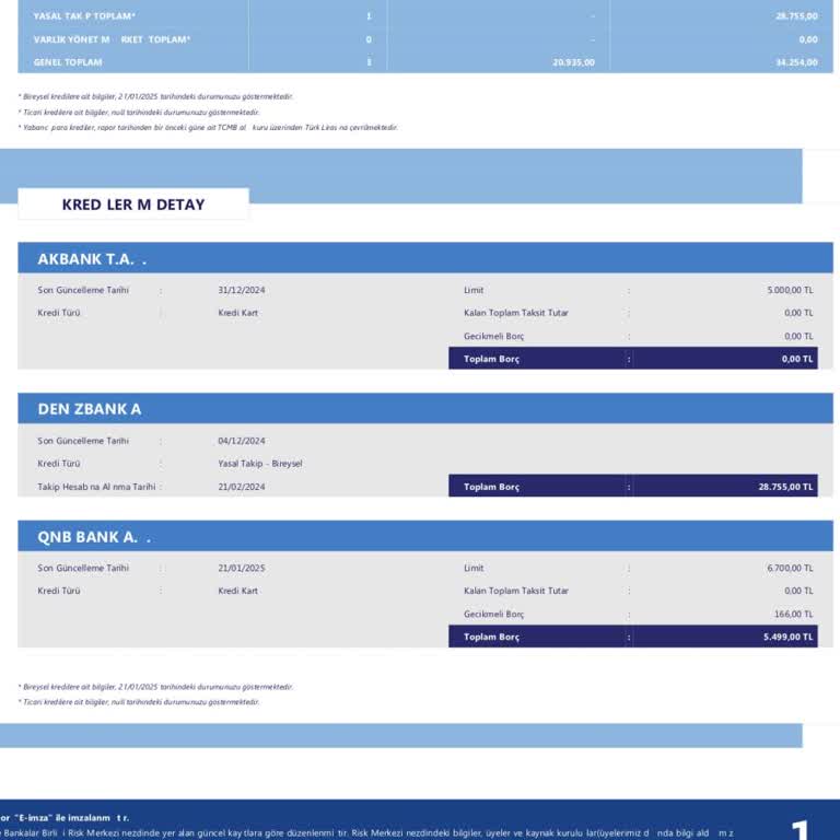 Denizbank Kredi Kartı Borç Sorunu Ve Risk Raporu Çıkmazı