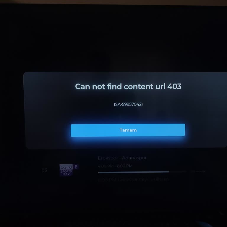 Netinternet Bein Connect Wi-Fi Bağlantı Sorunu Ve 403 Hatası!