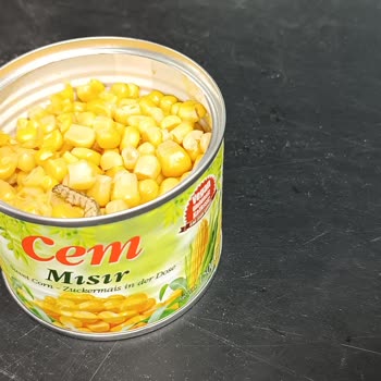 Konserve Mısırdan Kurt Çıktı: İnsan Sağlığı Tehlikede