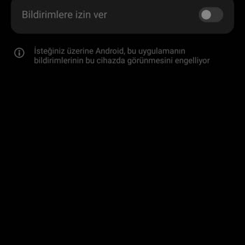 Tecno Camon 19 Neo: Bildirim Ve Parmak İzi Sorunları
