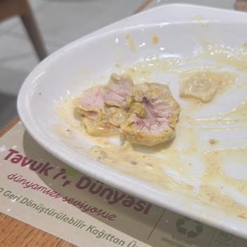 Tavuk Dünyası Çiğ Tavuk Ve Zehirlenme: Sağlığımız Tehlikede