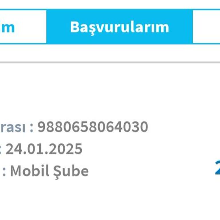 Onaylanan Krediyi Kullanamama Sorunu