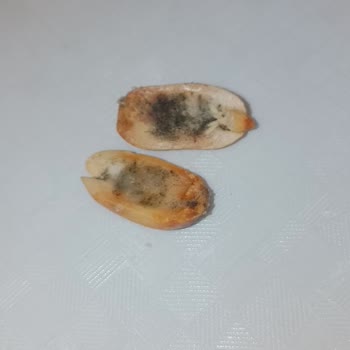 Küflü Fıstık Skandalı: A101'de Hijyen Sorunu