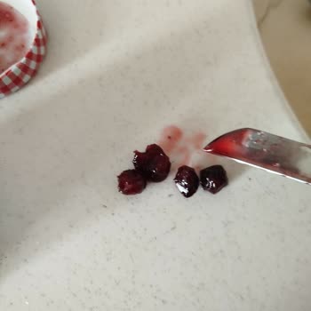 Vişne Reçelinde Çekirdek Şoku: Kalite Düşüşü Mü?