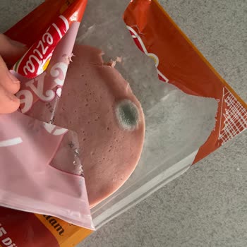 Küflü Salam Ve Sağlık Tehlikesi