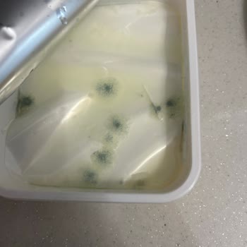 Yörsan Süzme Peynirde Beklenmedik Küf Sorunu