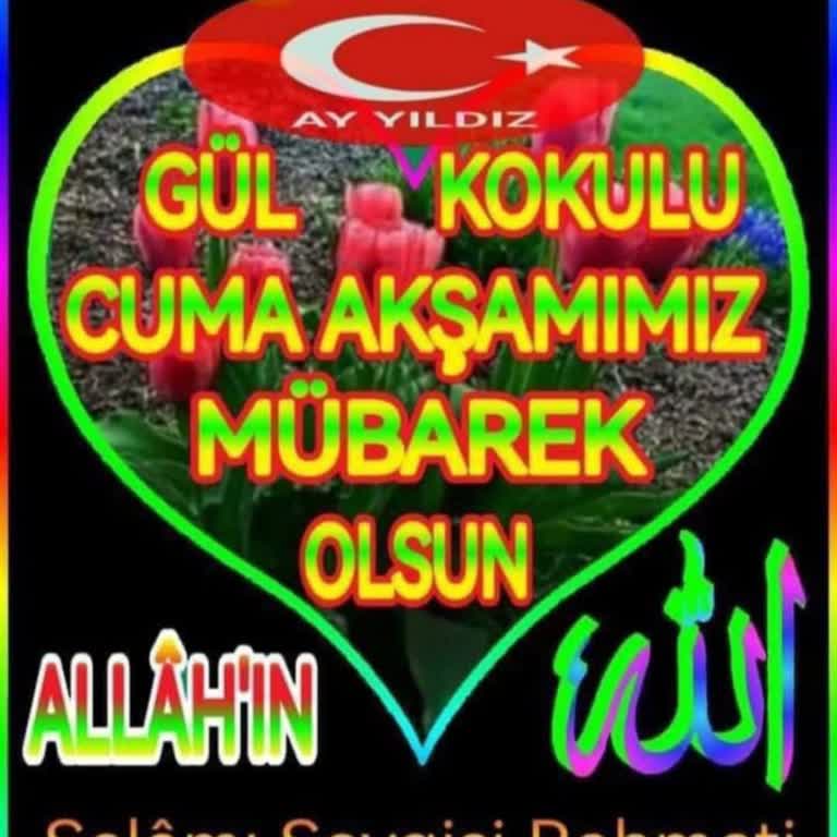Doğrulama Kodu Sorunu Ve Cüzdana Erişim Problemi