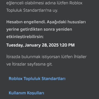 Roblox'un Adaletsiz Raporlama Sistemi Mağduriyet Yaratıyor
