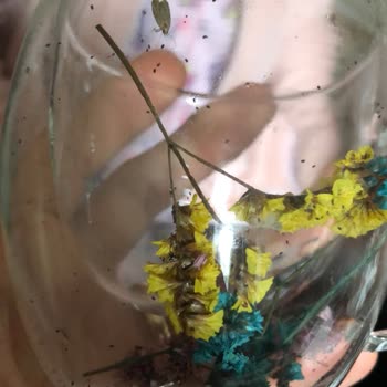 Kurtlu Ürün Ve Kaba Müşteri Hizmeti