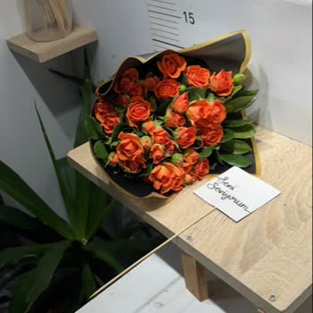 Doğum Günü Çiçeği Hayal Kırıklığı