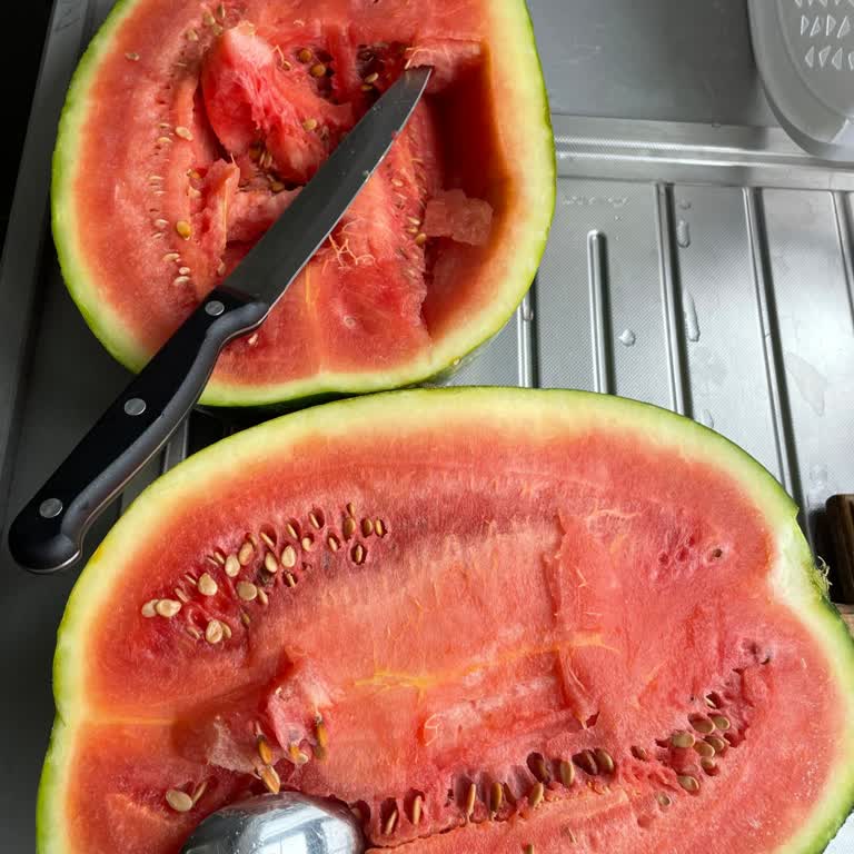 Karpuz Aldık, Tamamen Geçmiş Çıktı