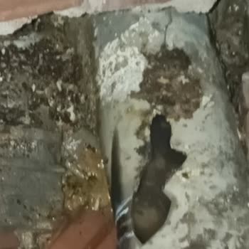 Superonline Kablo Çekimi Sonrası Apartman Tesisatında Hasar!