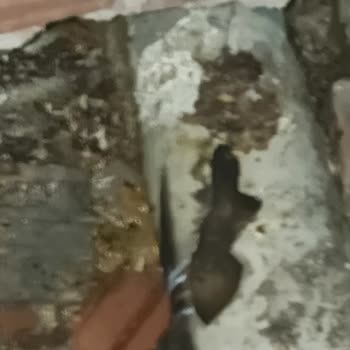 Superonline Kablo Çekimi Sonrası Apartman Tesisatında Hasar!