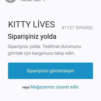 Kapanan Site Ve Ulaşmayan Sipariş Sorunu