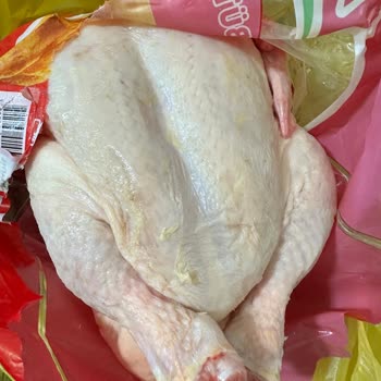Lezita Piliçte Sağlık Tehlikesi: Hastanelik Oldum